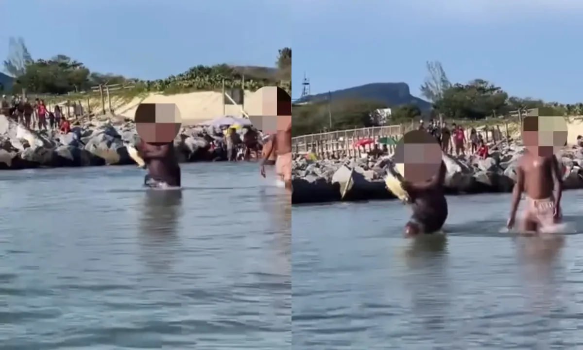 VÍDEO: Homem é flagrado retirando tartaruga do mar para tirar fotos na Praia de Itaipu
